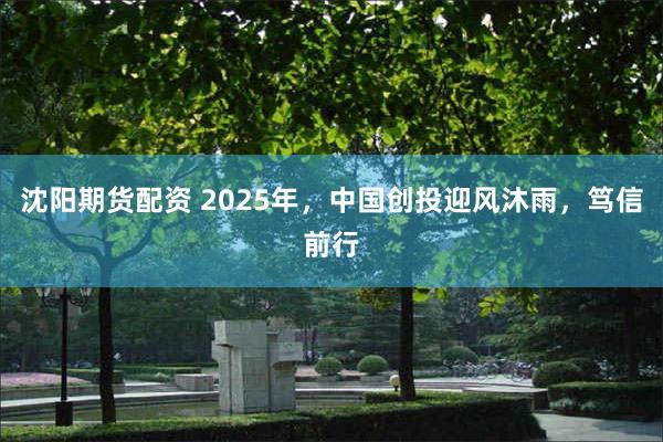 沈阳期货配资 2025年，中国创投迎风沐雨，笃信前行