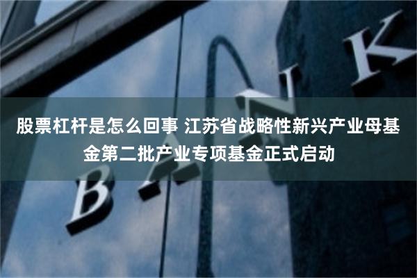 股票杠杆是怎么回事 江苏省战略性新兴产业母基金第二批产业专项基金正式启动