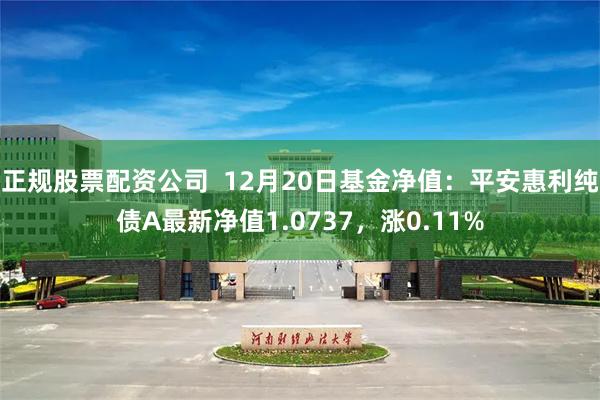 正规股票配资公司  12月20日基金净值：平安惠利纯债A最新净值1.0737，涨0.11%