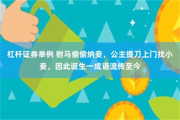 杠杆证券举例 驸马偷偷纳妾，公主提刀上门找小妾，因此诞生一成语流传至今