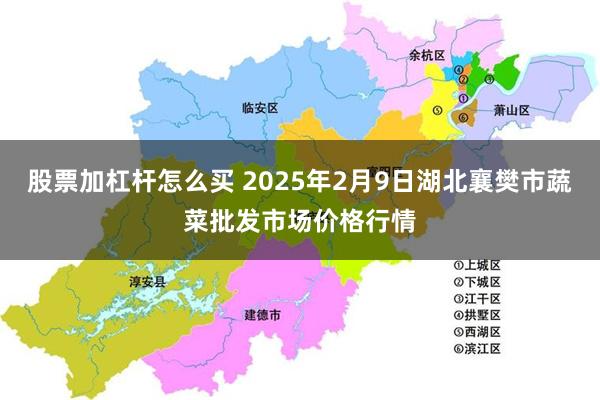 股票加杠杆怎么买 2025年2月9日湖北襄樊市蔬菜批发市场价格行情