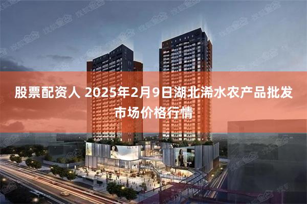 股票配资人 2025年2月9日湖北浠水农产品批发市场价格行情