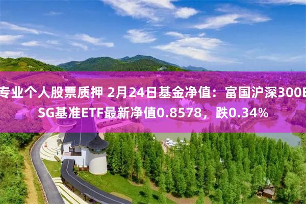 专业个人股票质押 2月24日基金净值：富国沪深300ESG基准ETF最新净值0.8578，跌0.34%