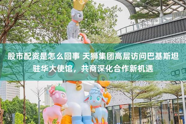 股市配资是怎么回事 天狮集团高层访问巴基斯坦驻华大使馆，共商深化合作新机遇